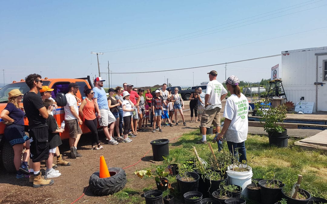 Volunteering at GROW Calgary